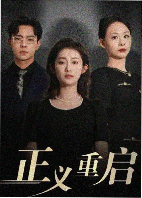 韩剧在线观看《无声证词》海报